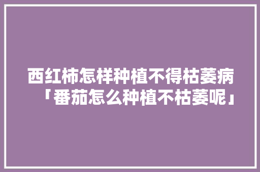 西红柿怎样种植不得枯萎病「番茄怎么种植不枯萎呢」
