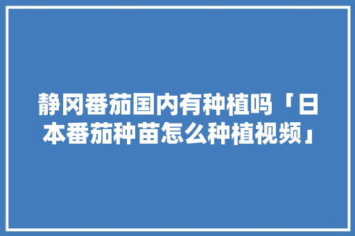 静冈番茄国内有种植吗「日本番茄种苗怎么种植视频」 静冈番茄国内有种植吗「日本番茄种苗怎么种植视频」 番茄病虫害防治