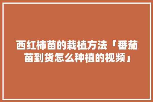 西红柿苗的栽植方法「番茄苗到货怎么种植的视频」 西红柿苗的栽植方法「番茄苗到货怎么种植的视频」 土壤施肥