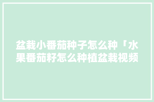 盆栽小番茄种子怎么种「水果番茄籽怎么种植盆栽视频」 盆栽小番茄种子怎么种「水果番茄籽怎么种植盆栽视频」 番茄病虫害防治