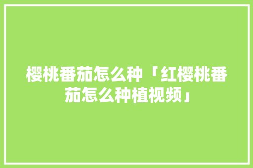 樱桃番茄怎么种「红樱桃番茄怎么种植视频」 樱桃番茄怎么种「红樱桃番茄怎么种植视频」 花朵知识