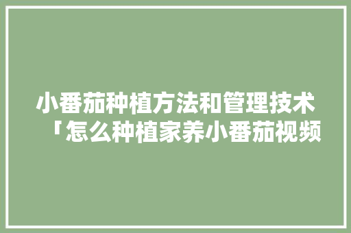 小番茄种植方法和管理技术「怎么种植家养小番茄视频」 小番茄种植方法和管理技术「怎么种植家养小番茄视频」 农业常识