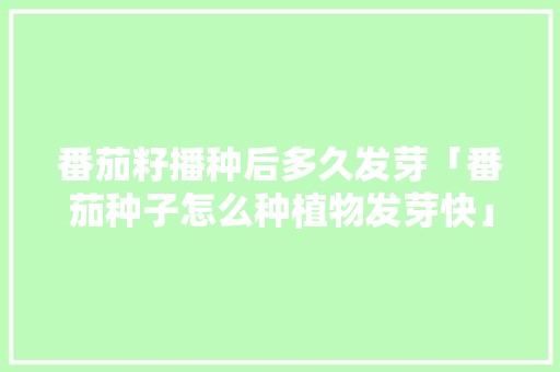 番茄籽播种后多久发芽「番茄种子怎么种植物发芽快」 番茄籽播种后多久发芽「番茄种子怎么种植物发芽快」 种植技巧