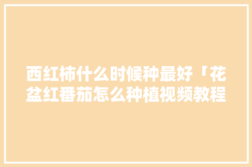 西红柿什么时候种最好「花盆红番茄怎么种植视频教程」 土壤施肥 西红柿什么时候种最好「花盆红番茄怎么种植视频教程」 西红柿什么时候种最好「花盆红番茄怎么种植视频教程」 土壤施肥