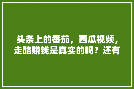头条上的番茄，西瓜视频，走路赚钱是真实的吗？还有拼多多「番茄种植怎么修枝视频教程」 头条上的番茄，西瓜视频，走路赚钱是真实的吗？还有拼多多「番茄种植怎么修枝视频教程」 土壤施肥