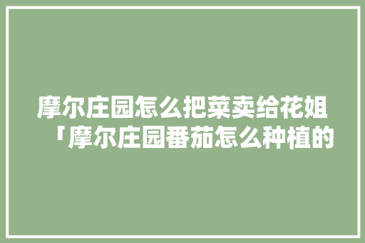 摩尔庄园怎么把菜卖给花姐「摩尔庄园番茄怎么种植的」