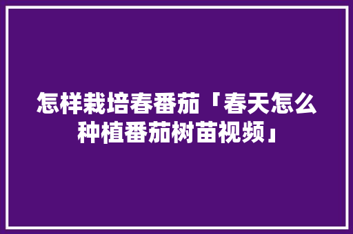 怎样栽培春番茄「春天怎么种植番茄树苗视频」 怎样栽培春番茄「春天怎么种植番茄树苗视频」 土壤施肥