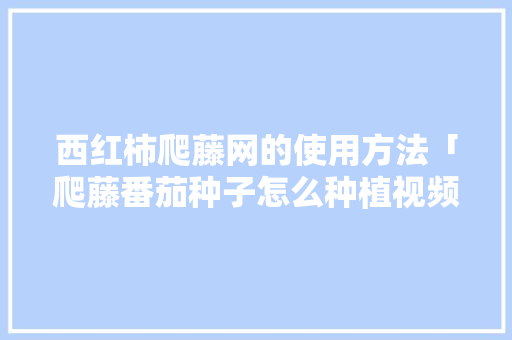 西红柿爬藤网的使用方法「爬藤番茄种子怎么种植视频」