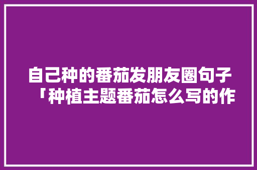 自己种的番茄发朋友圈句子「种植主题番茄怎么写的作文」 自己种的番茄发朋友圈句子「种植主题番茄怎么写的作文」 番茄种植技巧
