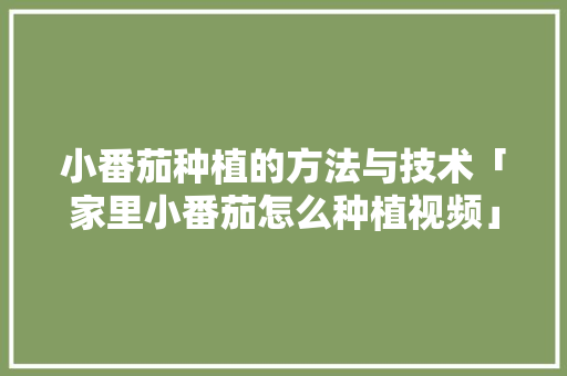 小番茄种植的方法与技术「家里小番茄怎么种植视频」 小番茄种植的方法与技术「家里小番茄怎么种植视频」 番茄种植技巧