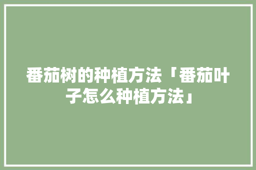 番茄树的种植方法「番茄叶子怎么种植方法」 种植技巧 番茄树的种植方法「番茄叶子怎么种植方法」 番茄树的种植方法「番茄叶子怎么种植方法」 种植技巧