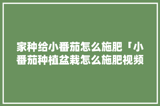 家种给小番茄怎么施肥「小番茄种植盆栽怎么施肥视频」 家种给小番茄怎么施肥「小番茄种植盆栽怎么施肥视频」 花朵知识