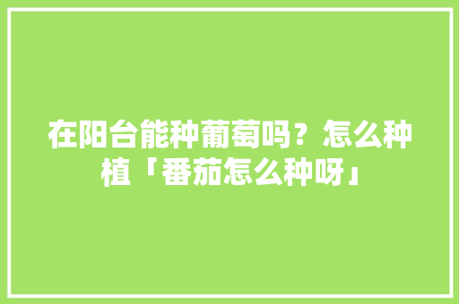 在阳台能种葡萄吗？怎么种植「番茄怎么种呀」