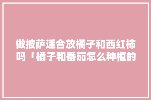 做披萨适合放橘子和西红柿吗「橘子和番茄怎么种植的」