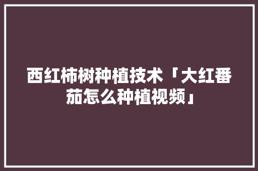 西红柿树种植技术「大红番茄怎么种植视频」 西红柿树种植技术「大红番茄怎么种植视频」 番茄病虫害防治
