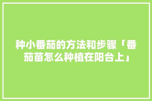 种小番茄的方法和步骤「番茄苗怎么种植在阳台上」 种小番茄的方法和步骤「番茄苗怎么种植在阳台上」 种植技巧
