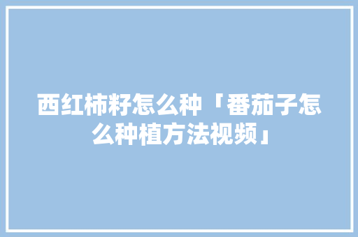 西红柿籽怎么种「番茄子怎么种植方法视频」 植物种类 西红柿籽怎么种「番茄子怎么种植方法视频」 西红柿籽怎么种「番茄子怎么种植方法视频」 植物种类