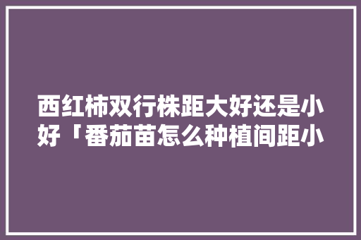 西红柿双行株距大好还是小好「番茄苗怎么种植间距小一点」