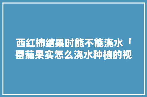 西红柿结果时能不能浇水「番茄果实怎么浇水种植的视频」 西红柿结果时能不能浇水「番茄果实怎么浇水种植的视频」 土壤施肥