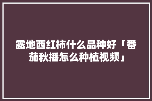 露地西红柿什么品种好「番茄秋播怎么种植视频」 番茄病虫害防治 露地西红柿什么品种好「番茄秋播怎么种植视频」 露地西红柿什么品种好「番茄秋播怎么种植视频」 番茄病虫害防治