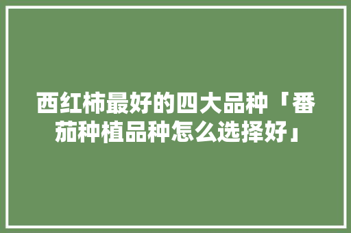 西红柿最好的四大品种「番茄种植品种怎么选择好」 西红柿最好的四大品种「番茄种植品种怎么选择好」 番茄种植技巧