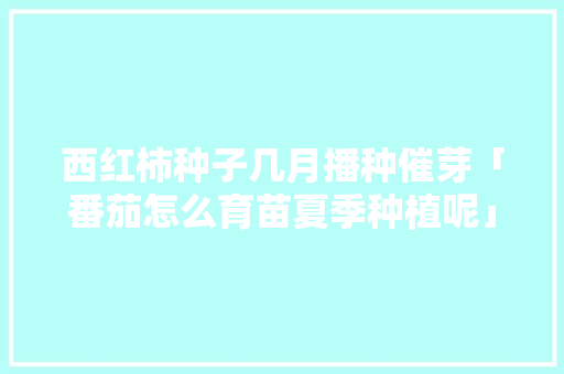 西红柿种子几月播种催芽「番茄怎么育苗夏季种植呢」 种植技巧 西红柿种子几月播种催芽「番茄怎么育苗夏季种植呢」 西红柿种子几月播种催芽「番茄怎么育苗夏季种植呢」 种植技巧