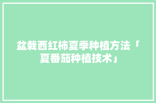 盆栽西红柿夏季种植方法「夏番茄种植技术」 盆栽西红柿夏季种植方法「夏番茄种植技术」 番茄种植技巧