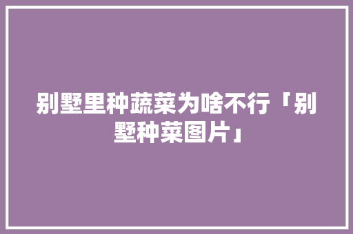 别墅里种蔬菜为啥不行「别墅种菜图片」 别墅里种蔬菜为啥不行「别墅种菜图片」 土壤施肥