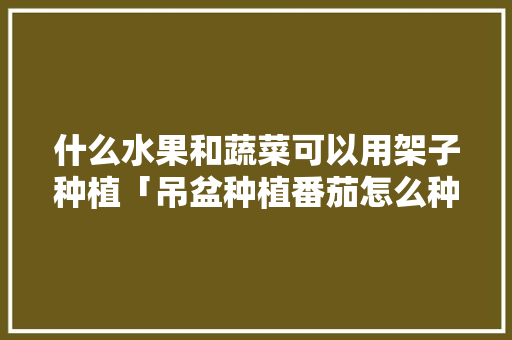 什么水果和蔬菜可以用架子种植「吊盆种植番茄怎么种植视频」