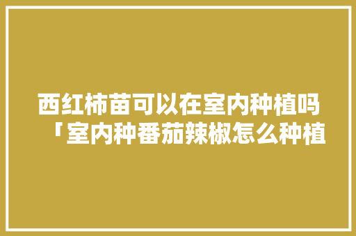 西红柿苗可以在室内种植吗「室内种番茄辣椒怎么种植视频」 西红柿苗可以在室内种植吗「室内种番茄辣椒怎么种植视频」 植物种类