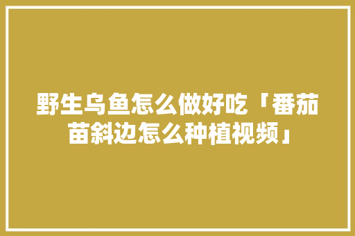 野生乌鱼怎么做好吃「番茄苗斜边怎么种植视频」 野生乌鱼怎么做好吃「番茄苗斜边怎么种植视频」 番茄病虫害防治