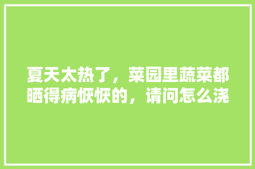 夏天太热了，菜园里蔬菜都晒得病恹恹的，请问怎么浇水才好「蔬菜种植技巧夏天浇水时间」 夏天太热了，菜园里蔬菜都晒得病恹恹的，请问怎么浇水才好「蔬菜种植技巧夏天浇水时间」 土壤施肥