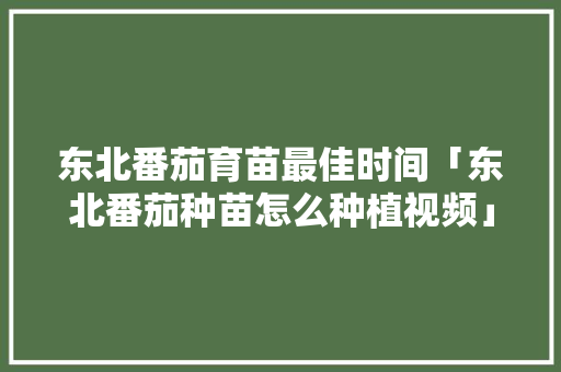 东北番茄育苗最佳时间「东北番茄种苗怎么种植视频」 东北番茄育苗最佳时间「东北番茄种苗怎么种植视频」 番茄种植技巧