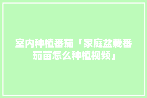 室内种植番茄「家庭盆栽番茄苗怎么种植视频」 室内种植番茄「家庭盆栽番茄苗怎么种植视频」 植物种类