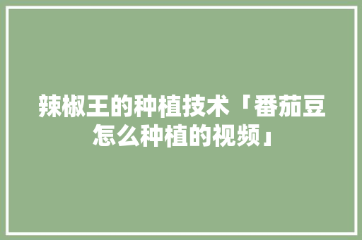 辣椒王的种植技术「番茄豆怎么种植的视频」 辣椒王的种植技术「番茄豆怎么种植的视频」 植物种类