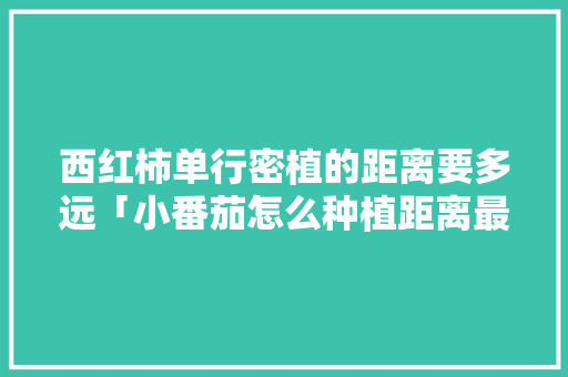 西红柿单行密植的距离要多远「小番茄怎么种植距离最短呢」 西红柿单行密植的距离要多远「小番茄怎么种植距离最短呢」 土壤施肥