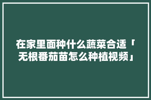在家里面种什么蔬菜合适「无根番茄苗怎么种植视频」 在家里面种什么蔬菜合适「无根番茄苗怎么种植视频」 农业常识