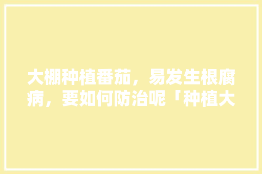 大棚种植番茄，易发生根腐病，要如何防治呢「种植大棚番茄怎么用药水浇」 大棚种植番茄，易发生根腐病，要如何防治呢「种植大棚番茄怎么用药水浇」 种植技巧