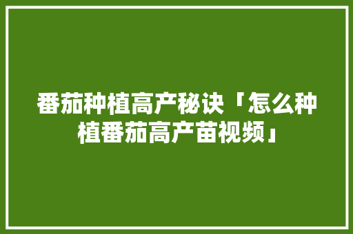 番茄种植高产秘诀「怎么种植番茄高产苗视频」 番茄种植高产秘诀「怎么种植番茄高产苗视频」 番茄病虫害防治