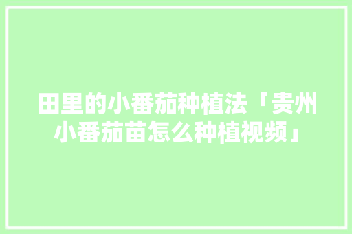田里的小番茄种植法「贵州小番茄苗怎么种植视频」 田里的小番茄种植法「贵州小番茄苗怎么种植视频」 番茄病虫害防治