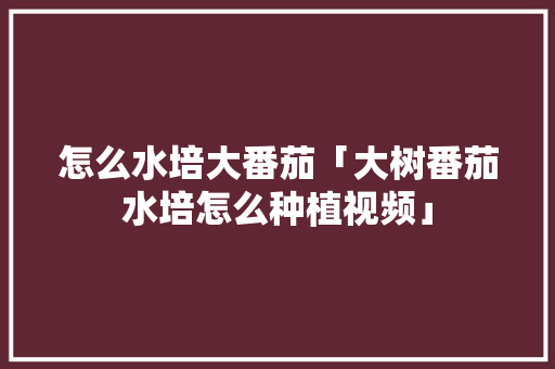 怎么水培大番茄「大树番茄水培怎么种植视频」 怎么水培大番茄「大树番茄水培怎么种植视频」 番茄病虫害防治