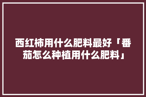 西红柿用什么肥料最好「番茄怎么种植用什么肥料」 番茄病虫害防治 西红柿用什么肥料最好「番茄怎么种植用什么肥料」 西红柿用什么肥料最好「番茄怎么种植用什么肥料」 番茄病虫害防治