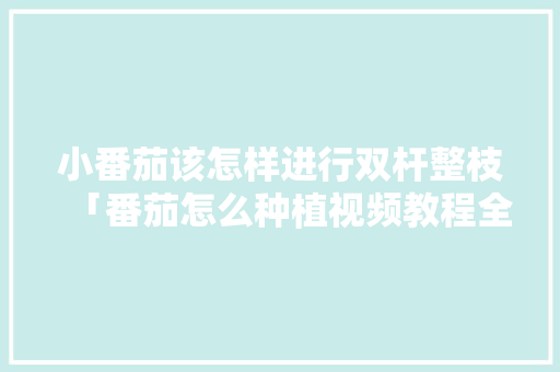 小番茄该怎样进行双杆整枝「番茄怎么种植视频教程全集」 小番茄该怎样进行双杆整枝「番茄怎么种植视频教程全集」 番茄病虫害防治
