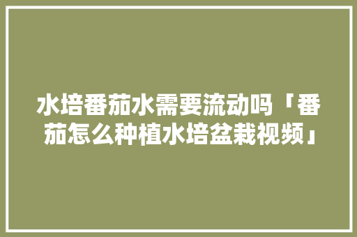水培番茄水需要流动吗「番茄怎么种植水培盆栽视频」 花朵知识 水培番茄水需要流动吗「番茄怎么种植水培盆栽视频」 水培番茄水需要流动吗「番茄怎么种植水培盆栽视频」 花朵知识