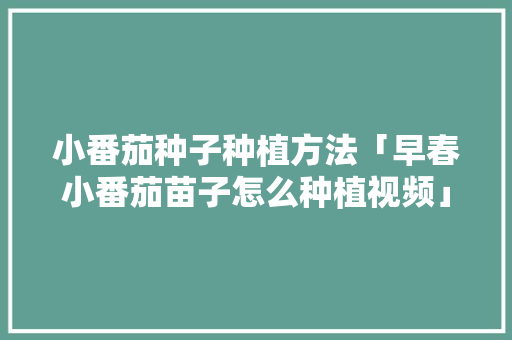 小番茄种子种植方法「早春小番茄苗子怎么种植视频」 小番茄种子种植方法「早春小番茄苗子怎么种植视频」 番茄种植技巧
