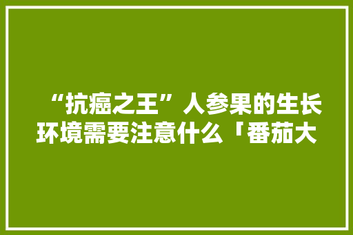 “抗癌之王”人参果的生长环境需要注意什么「番茄大王怎么种植视频」