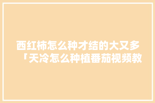 西红柿怎么种才结的大又多「天冷怎么种植番茄视频教程」 西红柿怎么种才结的大又多「天冷怎么种植番茄视频教程」 农业常识