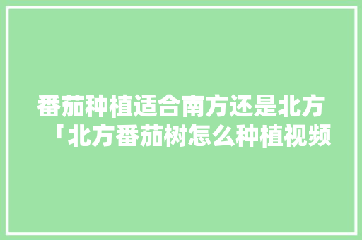 番茄种植适合南方还是北方「北方番茄树怎么种植视频」 番茄种植适合南方还是北方「北方番茄树怎么种植视频」 种植技巧
