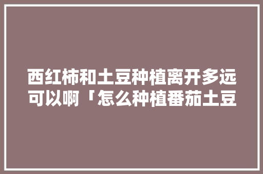 西红柿和土豆种植离开多远可以啊「怎么种植番茄土豆苗视频」 西红柿和土豆种植离开多远可以啊「怎么种植番茄土豆苗视频」 种植技巧