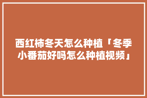 西红柿冬天怎么种植「冬季小番茄好吗怎么种植视频」 西红柿冬天怎么种植「冬季小番茄好吗怎么种植视频」 土壤施肥